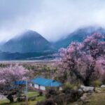 lv国际官网的环保理念,奢侈品也能追求可持续 kko4k