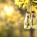 lv国际官网:LV经典款式与限量版的收藏价值 pt59sla